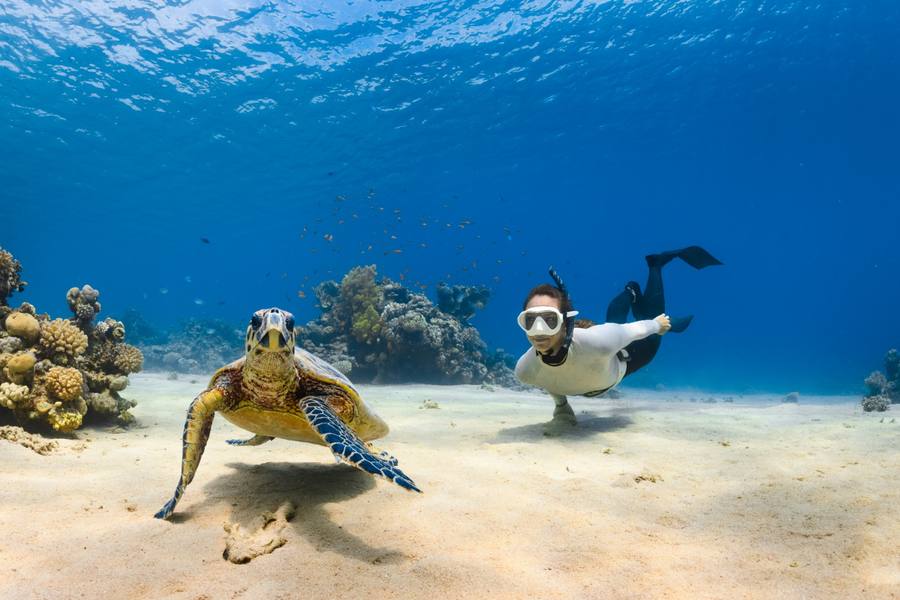 Snorkeling