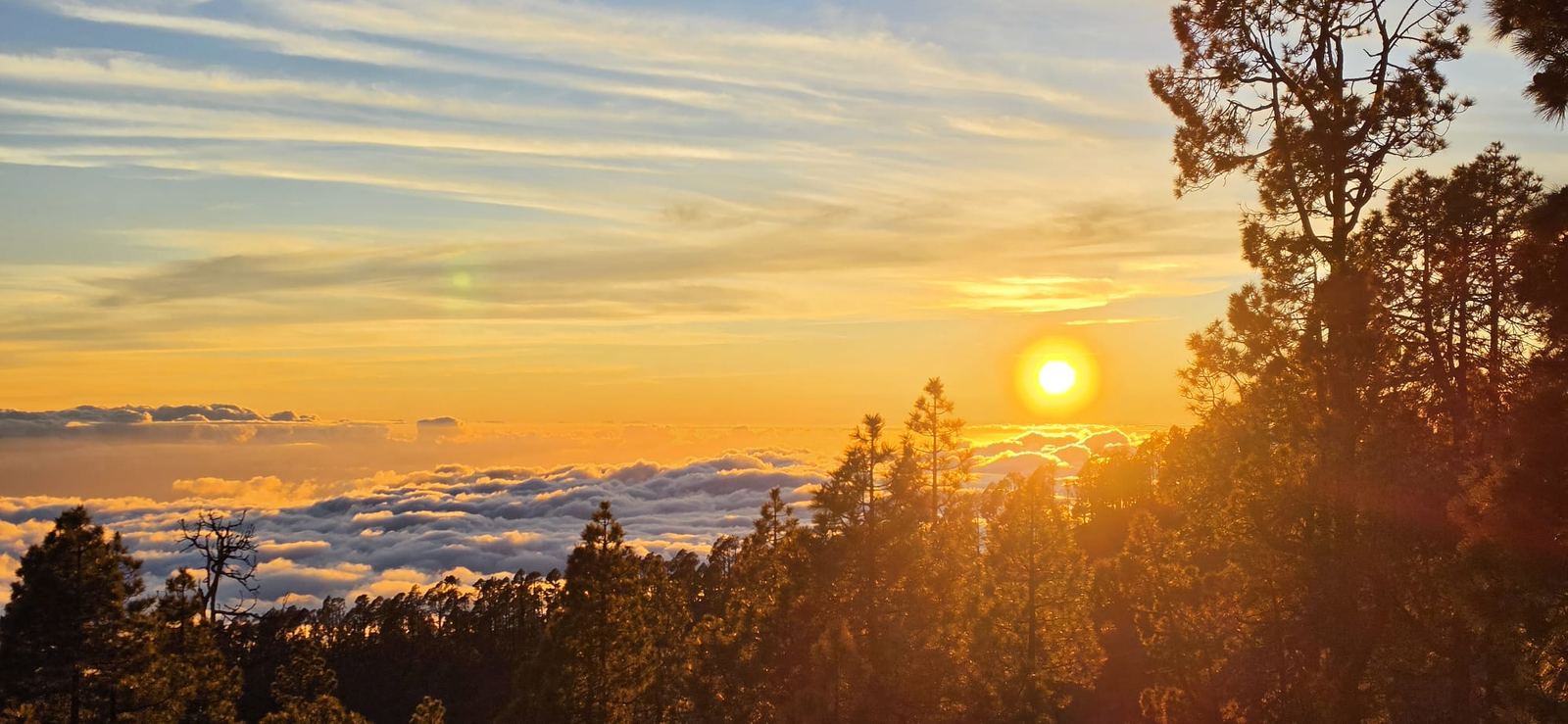 7,4 milioni di turisti a Tenerife nel 2024. Quello che non trovate nei depliant se siete nel sud.